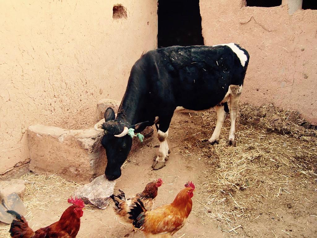 Dar Mouna Ait Benhaddou Buitenkant foto